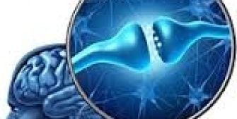 Neurotransmisores