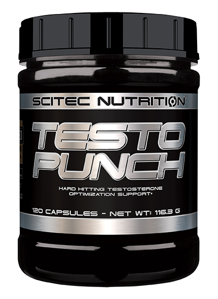 Testo Punch